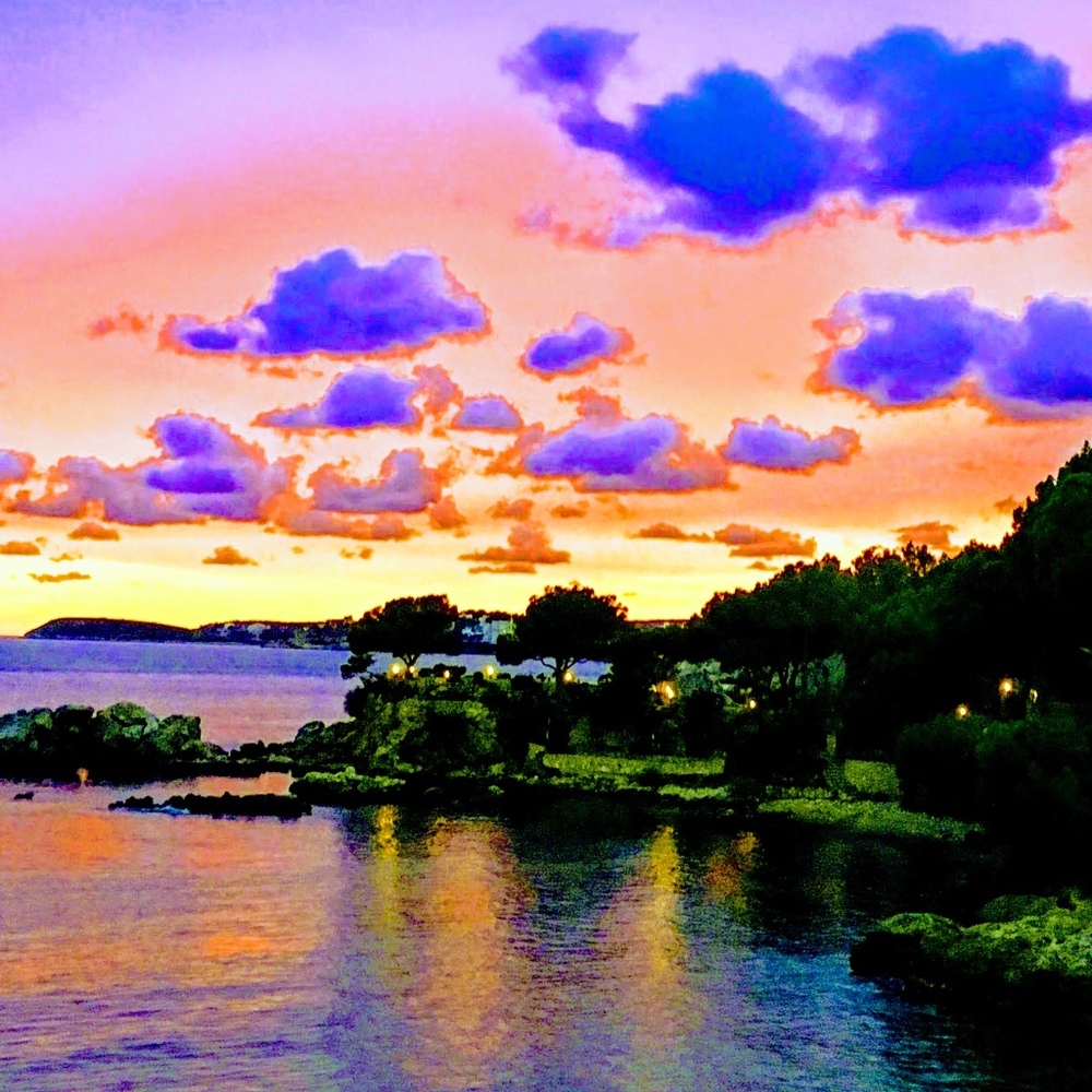 Meet your Posher, Charlotte